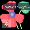 开云体育 logo