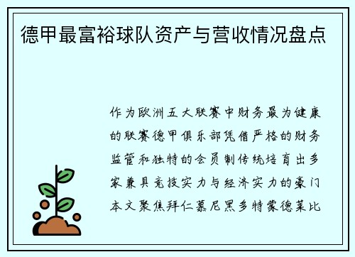 德甲最富裕球队资产与营收情况盘点