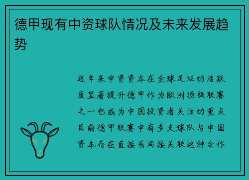 德甲现有中资球队情况及未来发展趋势